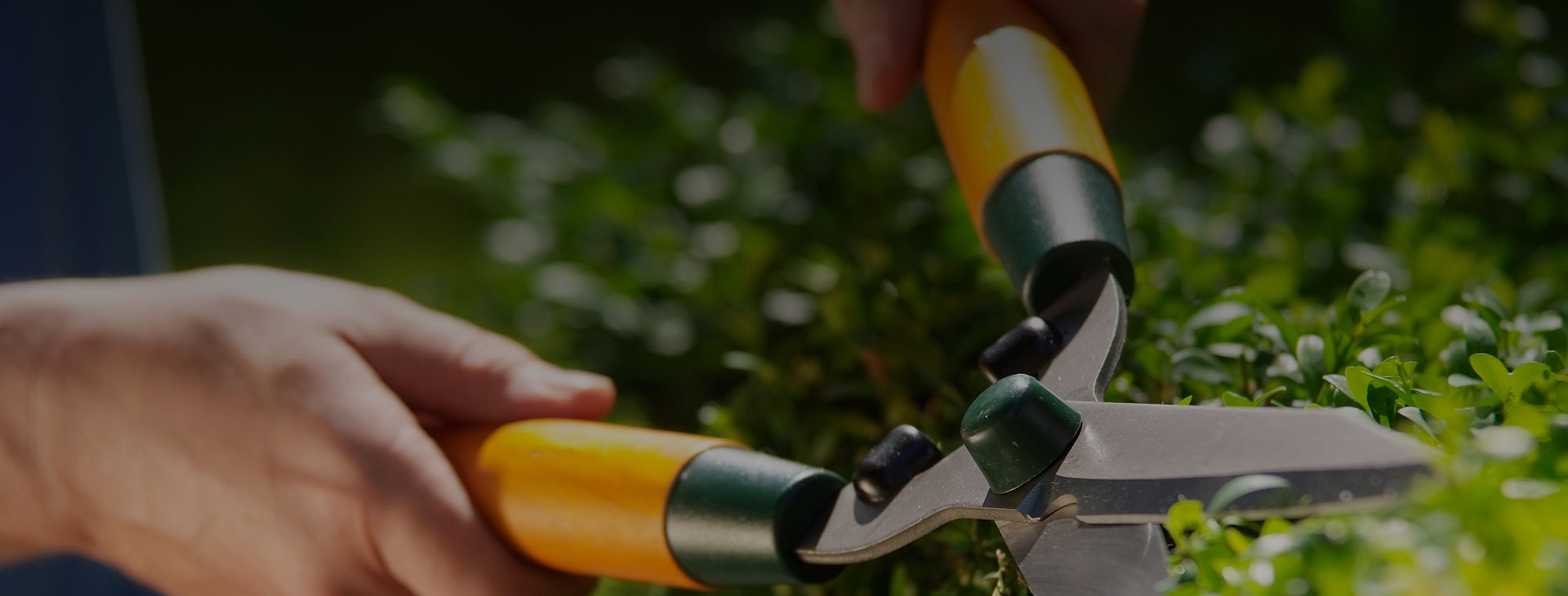 Entretien de jardin dans la Nièvre