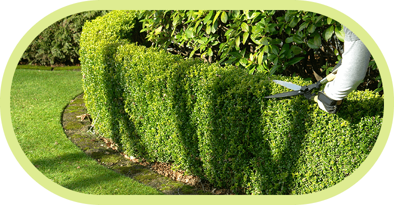 Jardinier paysagiste dans la Nièvre